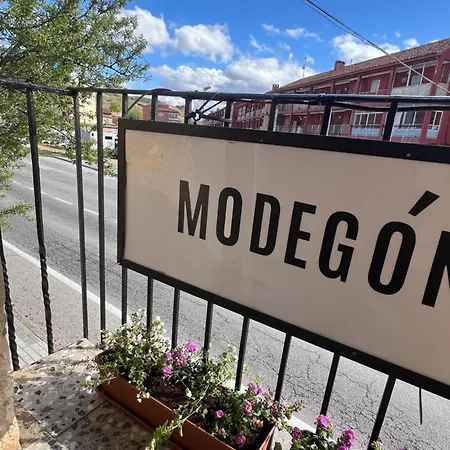 Modegon